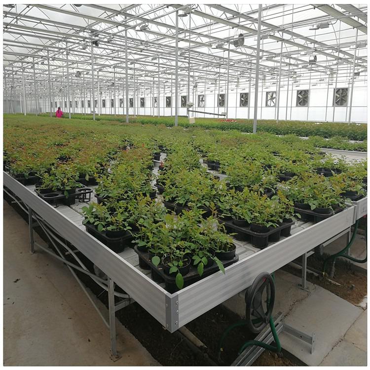 不是什么植物都适用于潮汐苗床的？